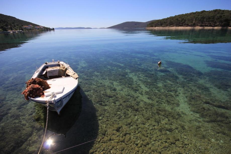 Vila Orada Molat Bagian luar foto